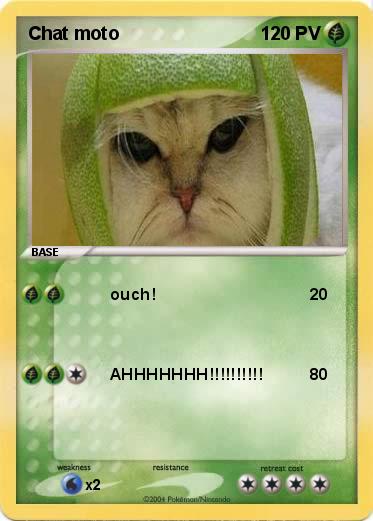 Pokemon Chat moto
