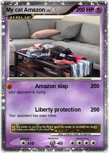Pokemon My cat Amazon