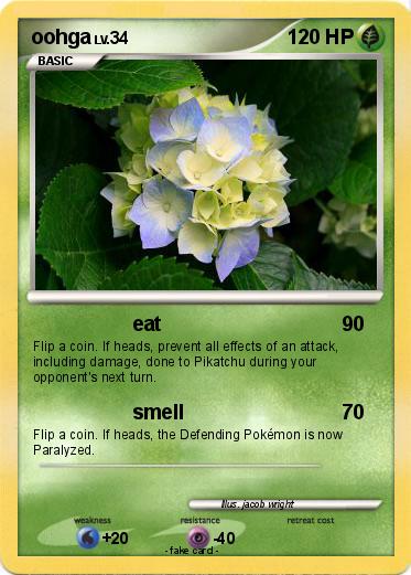 Pokemon oohga