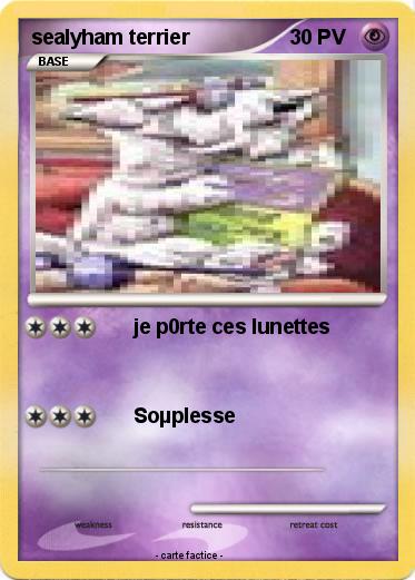 Pokemon sealyham terrier