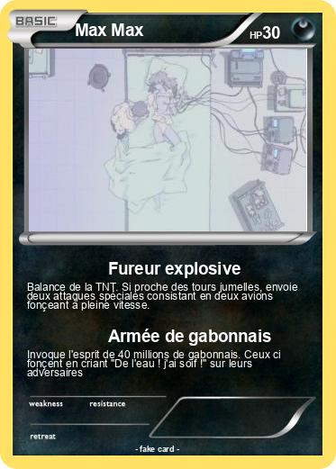 Pokemon Max Max