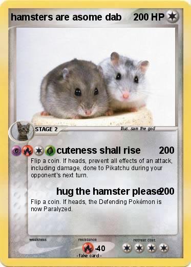 Pokemon hamsters are asome dab