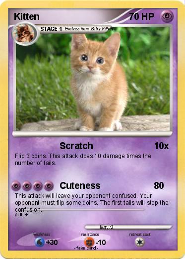 Pokemon Kitten