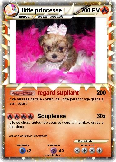 Pokemon little princesse
