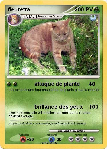 Pokemon fleuretta