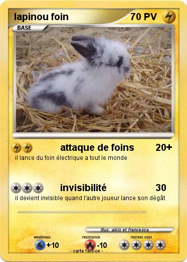 Pokemon lapinou foin