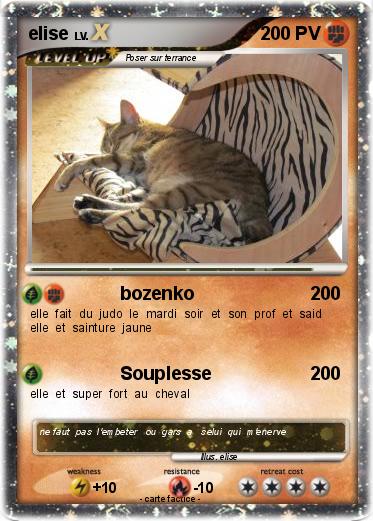 Pokemon elise