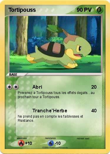 Pokemon Tortipouss