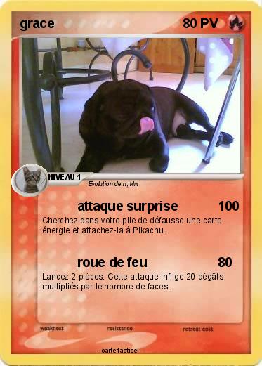 Pokemon grace