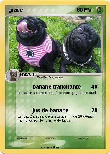 Pokemon grace