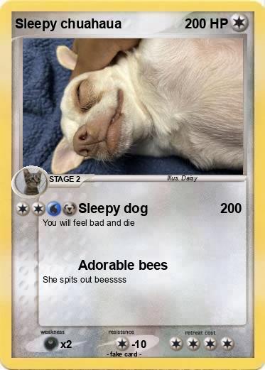 Pokemon Sleepy chuahaua