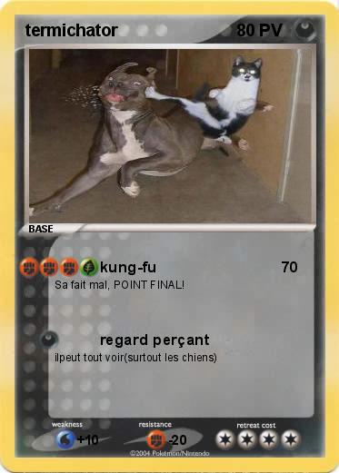 Pokemon termichator