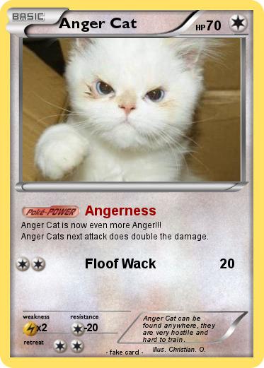 Pokemon Anger Cat