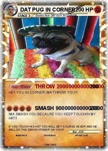 Pokemon DAT PUG IN CORNER