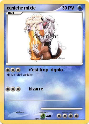 Pokemon caniche mixte