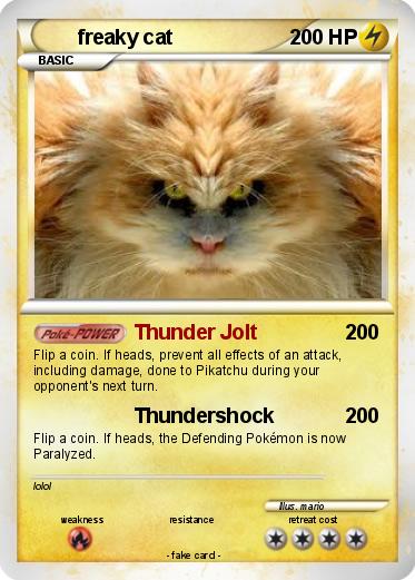 Pokemon freaky cat