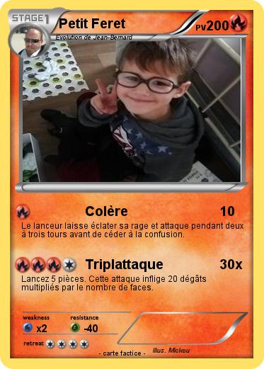Pokemon Petit Feret