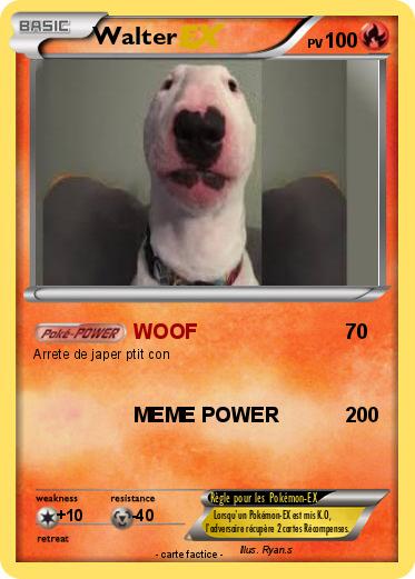 Pokemon Walter