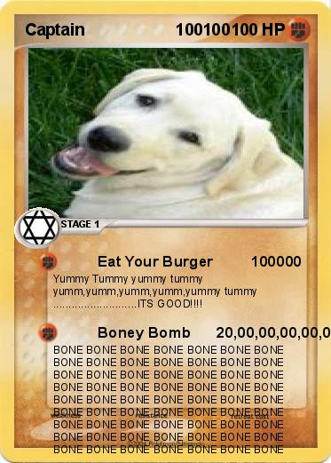 Pokemon Captain                    100100