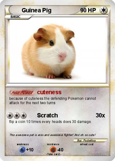 Pokemon Guinea Pig