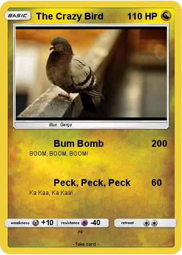Pokemon The Crazy Bird