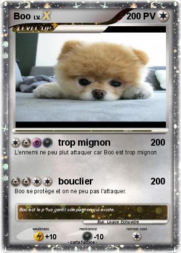 Pokemon Boo