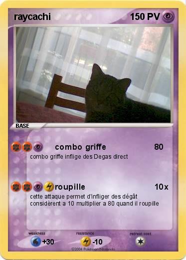 Pokemon raycachi