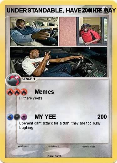 Pokemon UNDERSTANDABLE, HAVE A NICE DAY