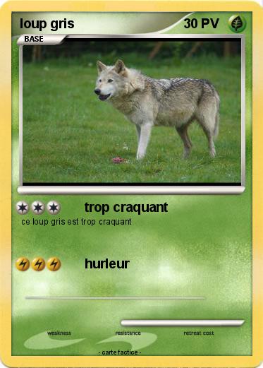 Pokemon loup gris