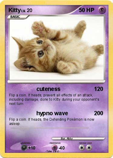 Pokemon Kitty