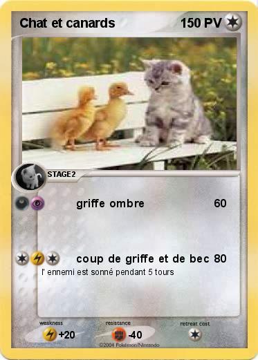 Pokemon Chat et canards