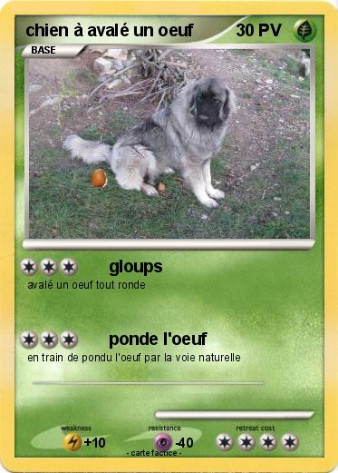 Pokemon chien à avalé un oeuf