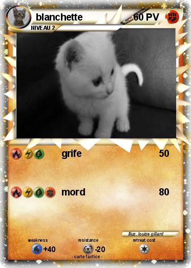 Pokemon blanchette