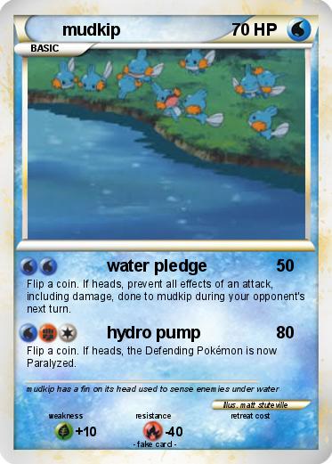 Pokemon mudkip
