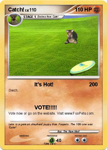 Pokemon Catch!