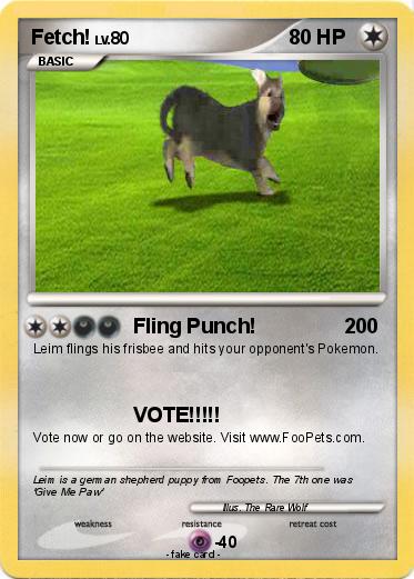 Pokemon Fetch!