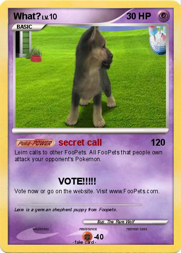 Pokemon What?
