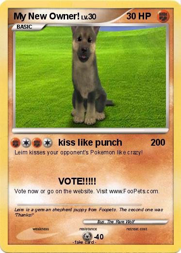 Pokemon My New Owner!