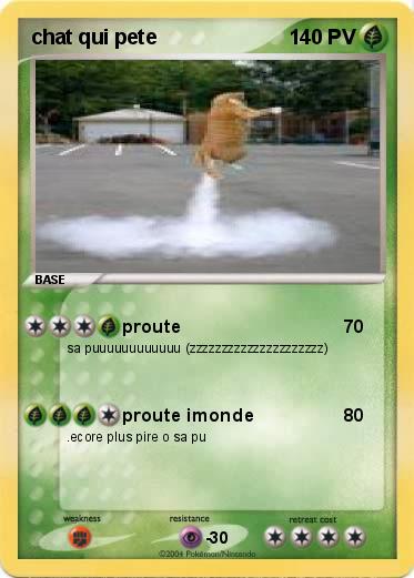 Pokemon chat qui pete