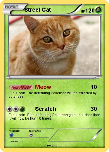 Pokemon Street Cat
