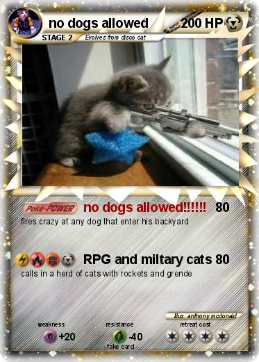 Pokemon no dogs allowed