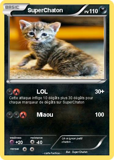 Pokemon SuperChaton