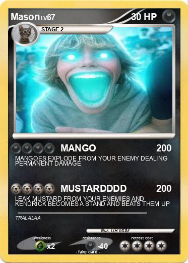 Pokemon Mason