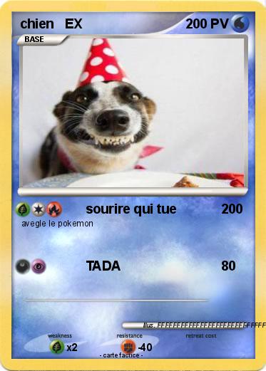 Pokemon chien   EX