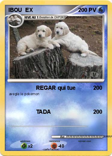 Pokemon IBOU  EX
