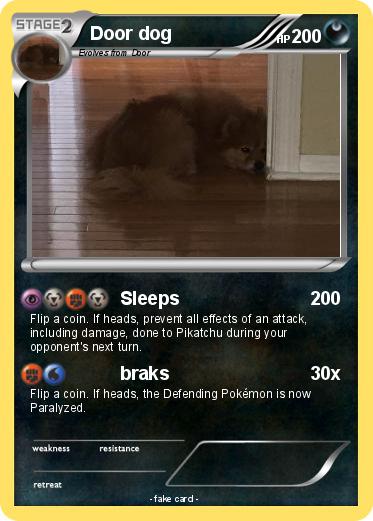 Pokemon Door dog