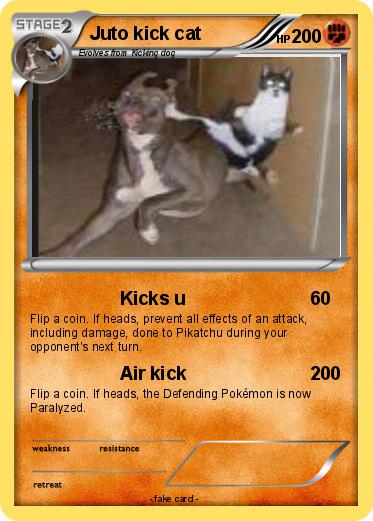Pokemon Juto kick cat