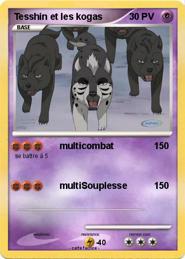 Pokemon Tesshin et les kogas