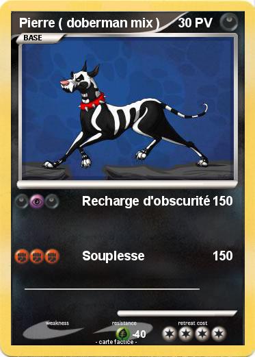 Pokemon Pierre ( doberman mix )