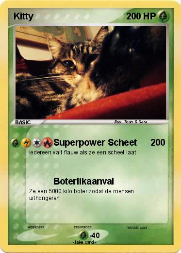 Pokemon Kitty